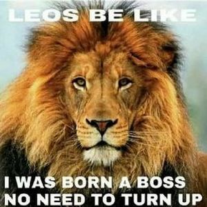 Meet your Posher, Terrell